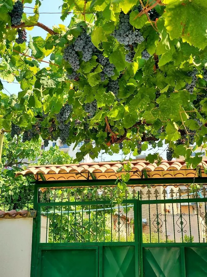 Unique Traditional House, Hosted By J&G Tiran Villa